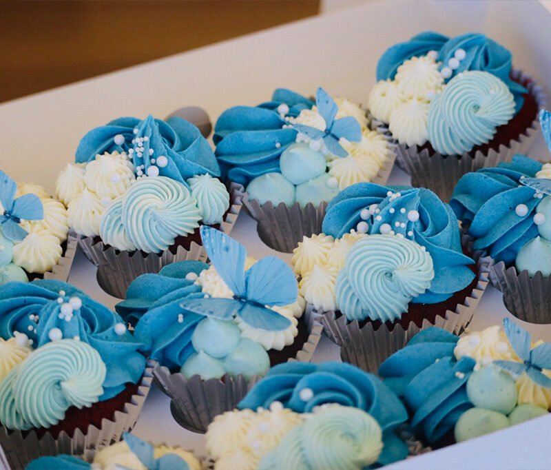 6 Butterfly themed cupcakes