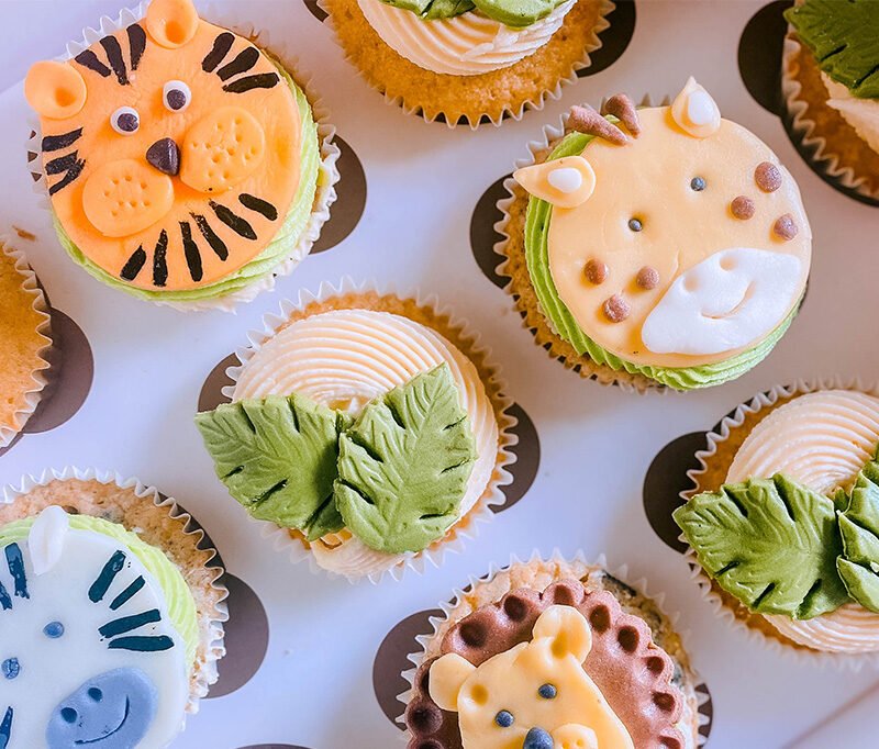 6 Animal themed cupcakes